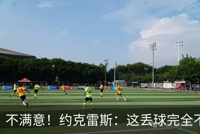 不满意！约克雷斯：这丢球完全不应该；对荷兰希望取得愉快的结果